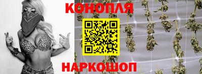 дмт Будённовск