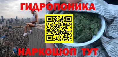 дмт Будённовск