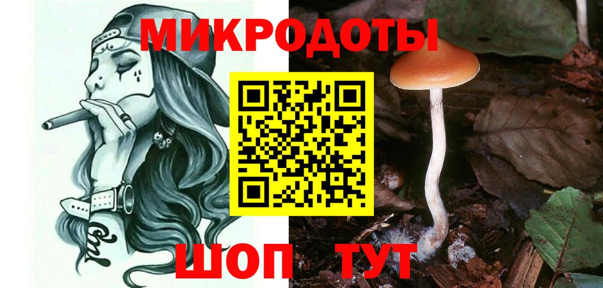 Псилоцибиновые грибы Psilocybe Мурино