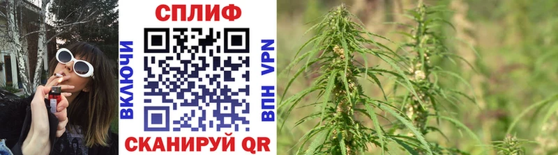маркетплейс клад  где купить наркоту  Мурино  Шишки марихуана LSD WEED 